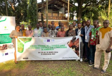 Combattre le commerce illicite de diamants et la contamination de l’environnement : déclaration finale de la réunion régionale d’Afrique centrale