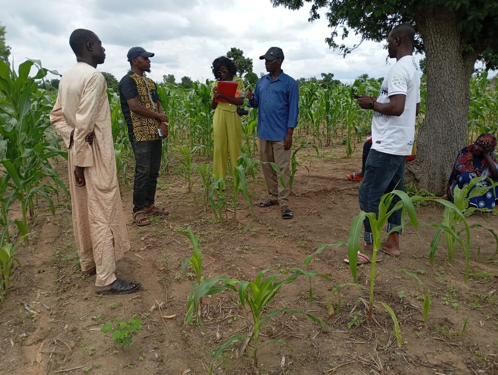 Gender, inequalities, and the resilience of food systems in the north and adamawa regions of cameroon